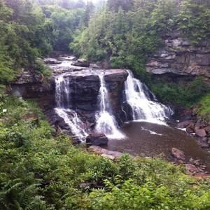 Meet your Posher, Sandy